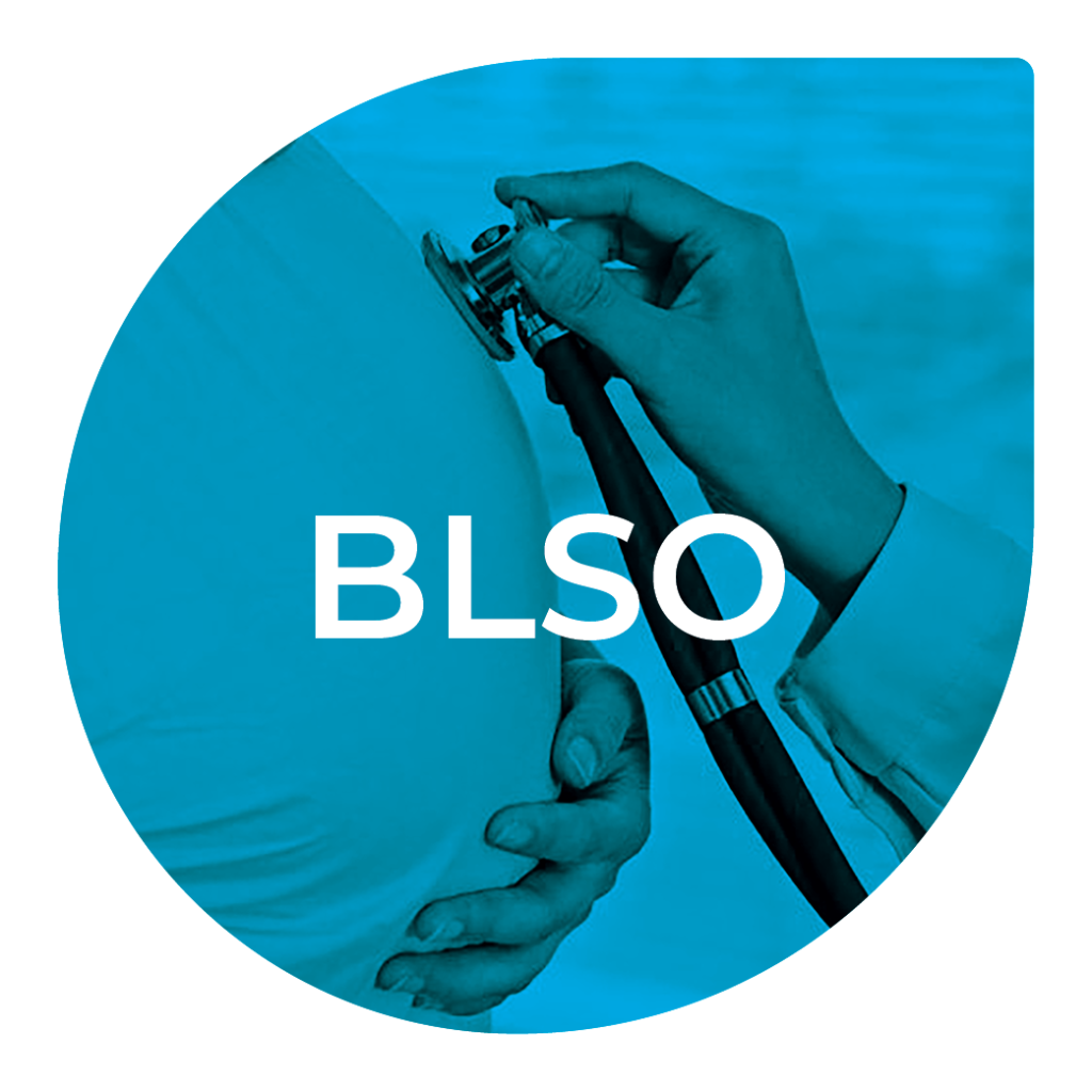 Basic Life Support in Obstetrics (BLSO)